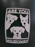 Are You Study? – Funny Motivational Desk Accessory for Students