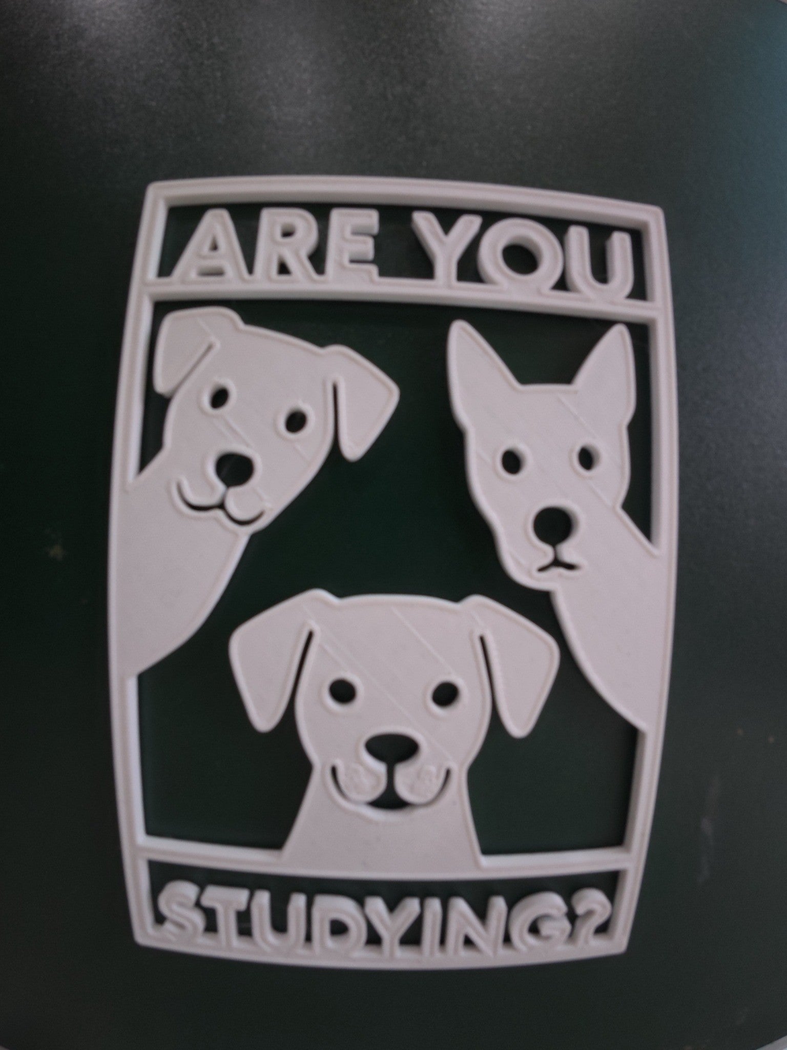 Are You Study? – Funny Motivational Desk Accessory for Students