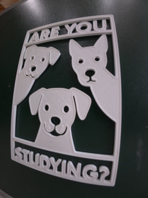 Are You Study? – Funny Motivational Desk Accessory for Students