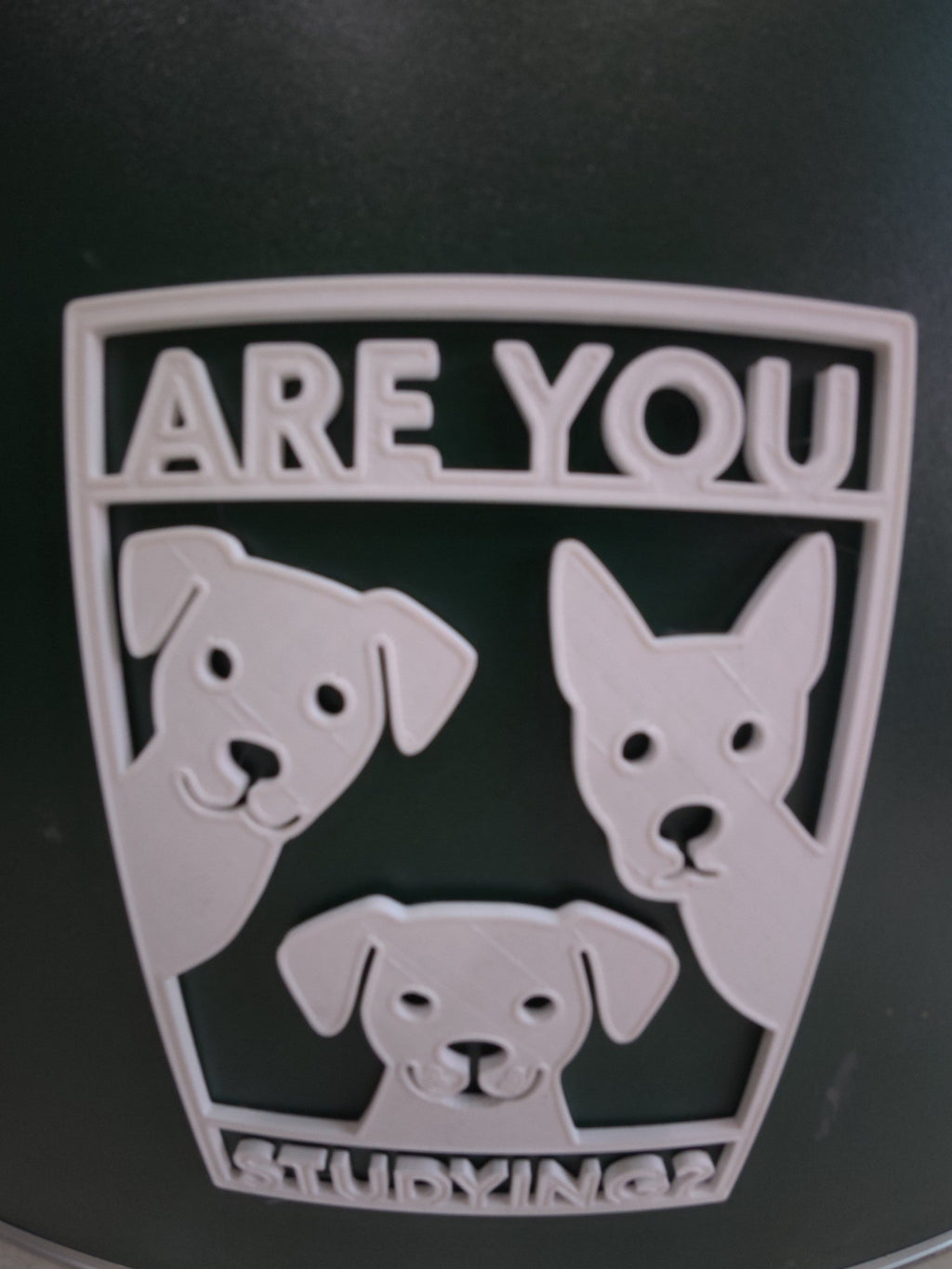 Are You Study? – Funny Motivational Desk Accessory for Students