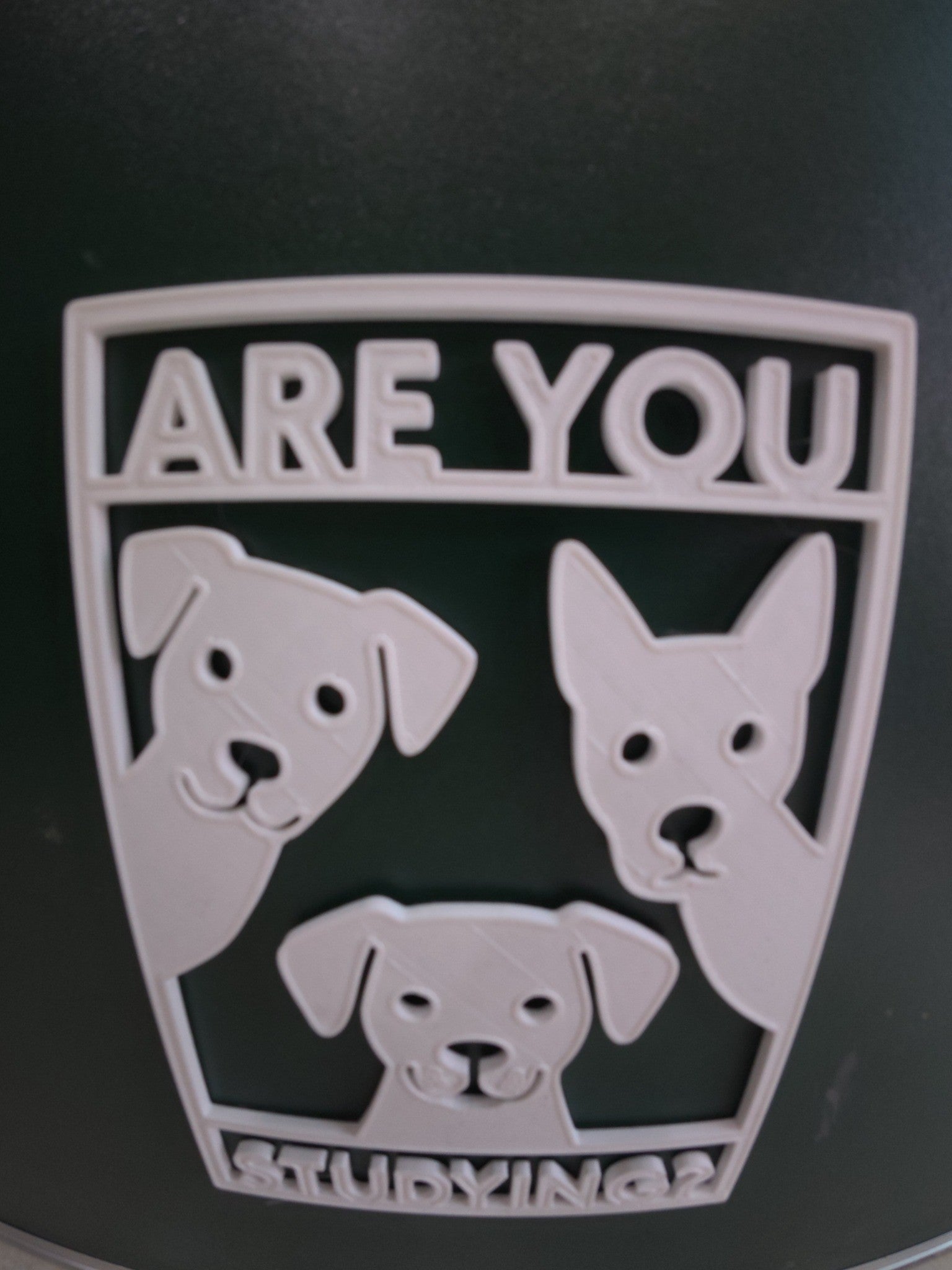 Are You Study? – Funny Motivational Desk Accessory for Students