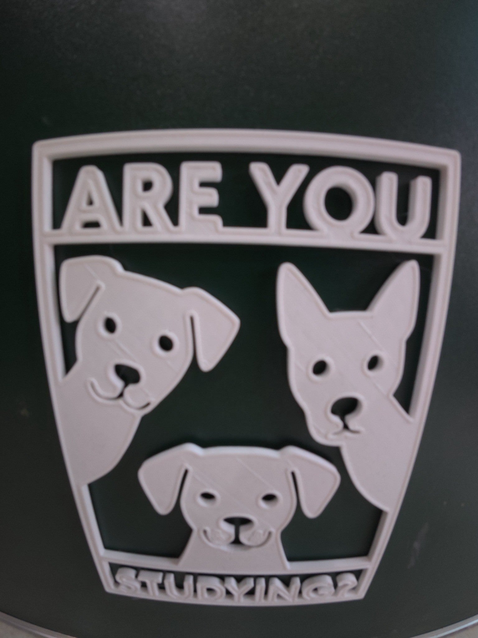 Are You Study? – Funny Motivational Desk Accessory for Students